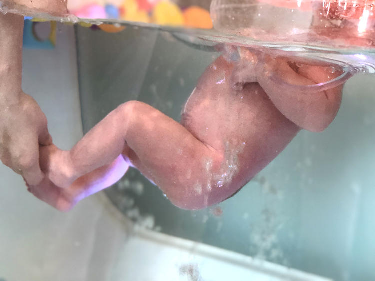 武汉月子中心体验,武汉月子中心服务体验