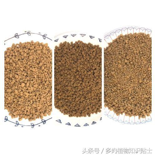 多肉植物用哪种土壤好,多肉植物什么土壤比较好