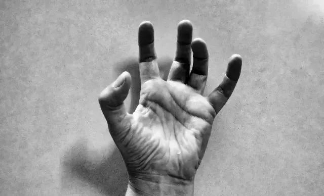 百芷集干货知识：春节自救指南之好好说话