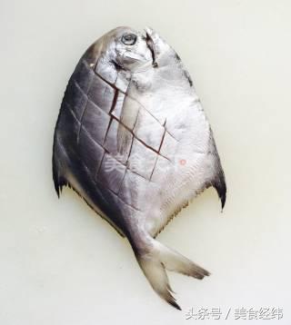 银鲳鱼的做法家常红烧,红烧银鲳鱼的做法大全家常