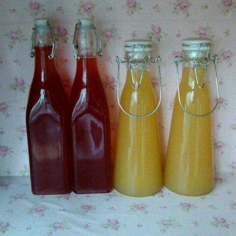 果醋和酵素的功效有哪些区别,果醋和酵素的功效的区别