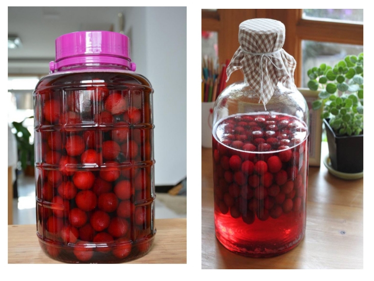 杨梅酒最正宗好吃的制作方法,正宗发酵原汁杨梅酒制作方法