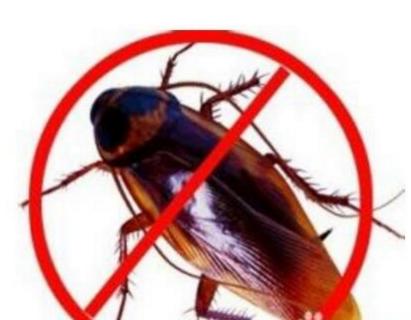 家里的蟑螂越来越多怎么消灭蟑螂,蟑螂最怕什么才能治蟑螂