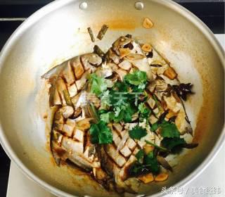 银鲳鱼的做法家常红烧,红烧银鲳鱼的做法大全家常