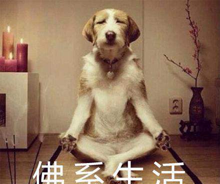 今天，你*赚网**了吗