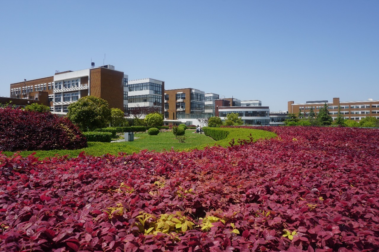 瞅瞅程序猿（媛）午餐都吃什么（一）：浦东软件园