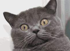 登机安检充电宝怎么过,电脑充电宝登机须知