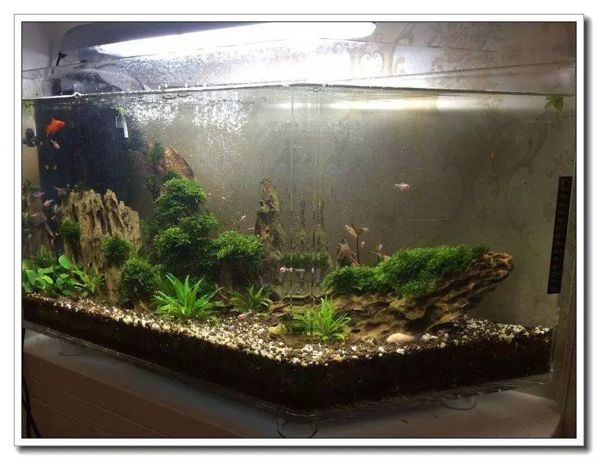 新手入坑的一点感悟,社区演讲精华篇