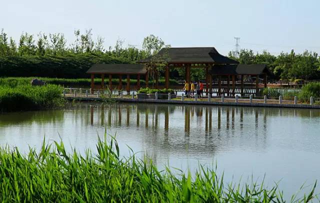 从a到z有氧,从a到z的成长