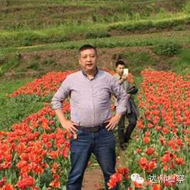 控告申诉部门简介,控告申诉科和督察大队