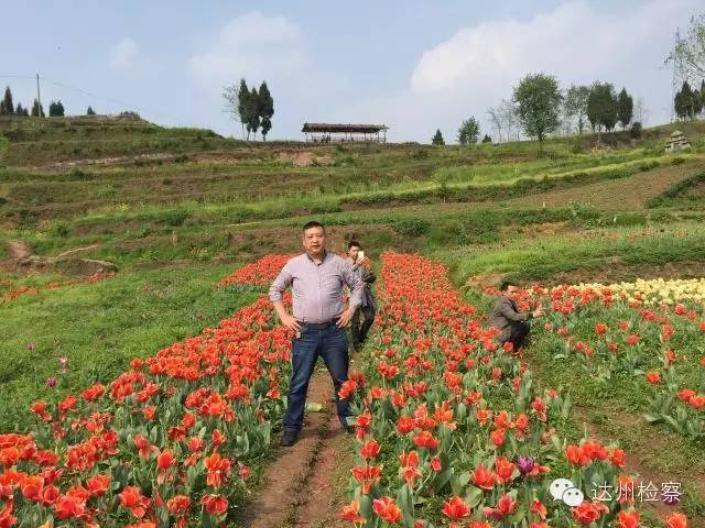 控告申诉部门简介,控告申诉科和督察大队