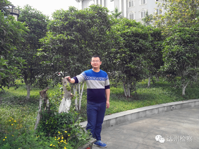 控告申诉部门简介,控告申诉科和督察大队