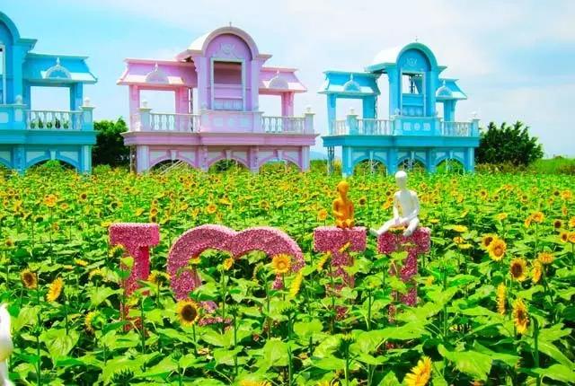 从A到Z，26个字母，看透大南沙！