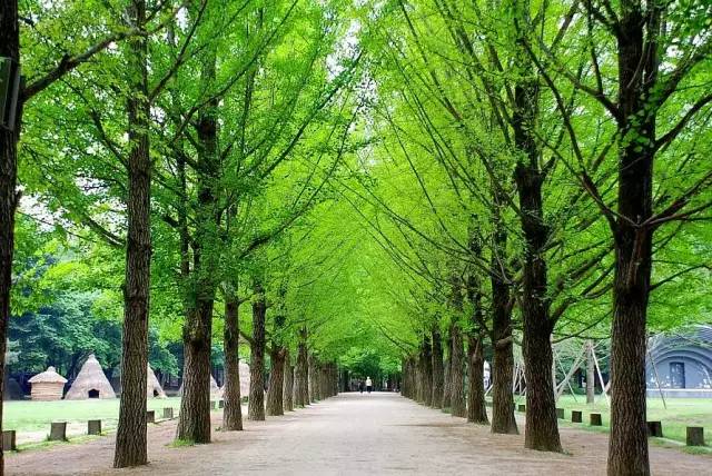 韩国玩乐攻略,去韩国怎么玩好玩