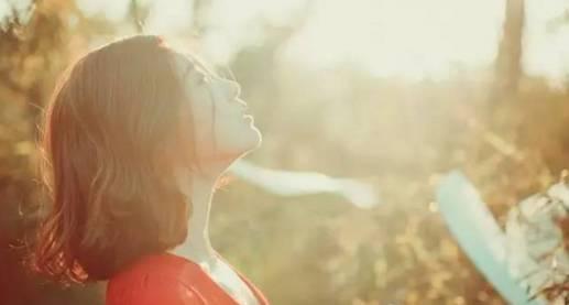 最准的12生肖都是什么命,12生肖看你什么命