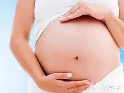 孕妇能不能吃海参和燕窝,海参做法孕妇吃