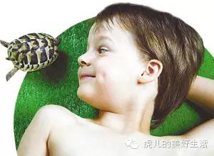 家里有孩子的适合养什么短毛宠物,学生党适合养1-5块钱的宠物