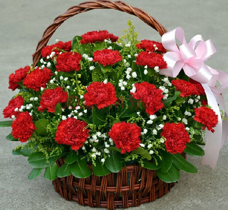 母亲节送几朵康乃馨花含义最好,母亲节送康乃馨配什么花最适合