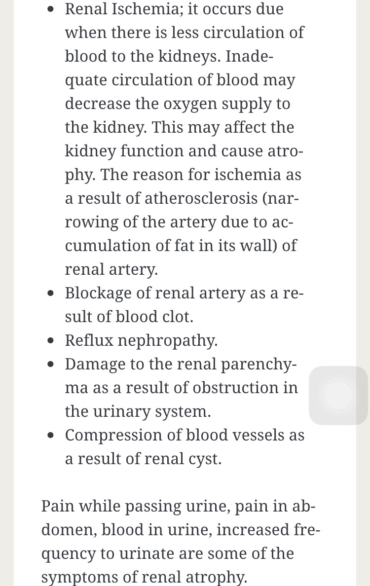 肾出问题跟大便有关系吗,肾脏与大便和小便