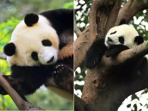 碧峰峡十月去耍怎么样,碧峰峡8月份雨季可以去耍吗