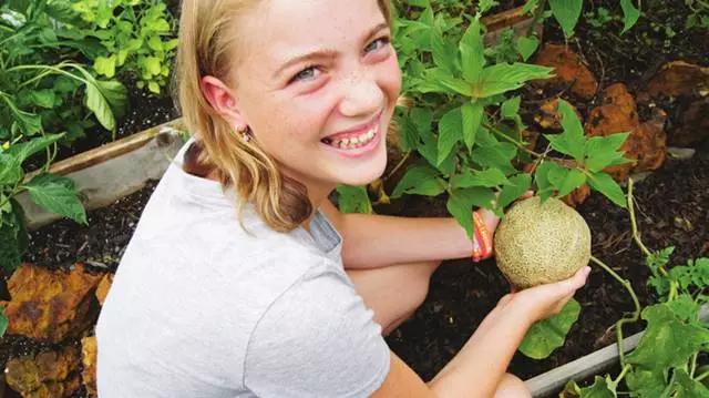 北美大叔玩起真实版开心农场，1平米菜园竟成国际潮流