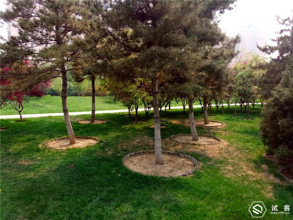 金立天鉴w909手机找不到媒体模式,金立天鉴w900翻盖手机价格