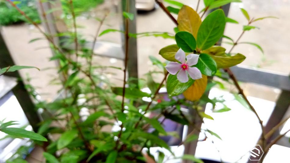 金立天鉴w909系统还可以再升级吗,金立天鉴w909手机充不了电怎么办