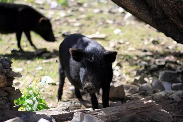 甘孜微生活新闻今天的,路况实时播报甘孜