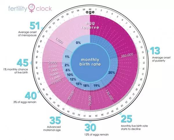 春雨国际医疗|冷冻卵子