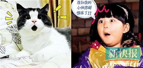 猜容易读错的字,特容易读错的字