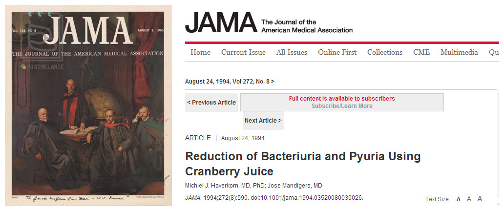 北美红宝石蔓越莓,北美红宝石蔓越莓干