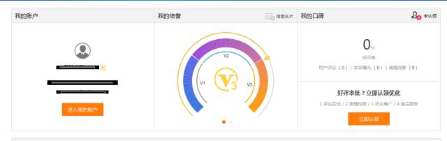 竞价排名查看网站,竞价排名怎么操作