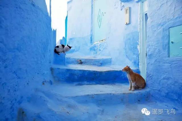 LP年度最佳三毛最爱北非后花园摩洛哥免签啦！