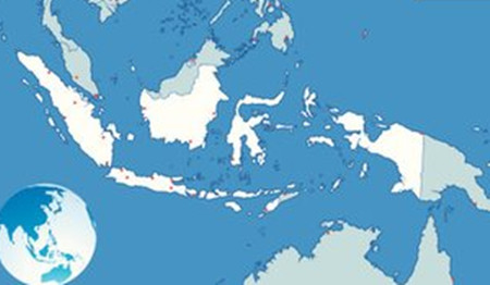 世界上拥有牛最多的国家,全球哪些国家有牛