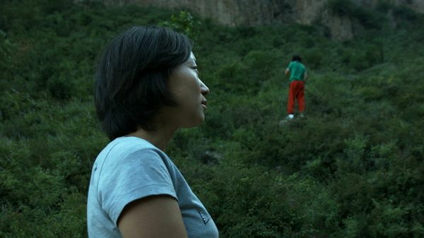 不合理蛙的卵长什么样,不合理蛙的图片