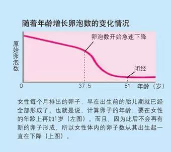 春雨国际医疗|冷冻卵子