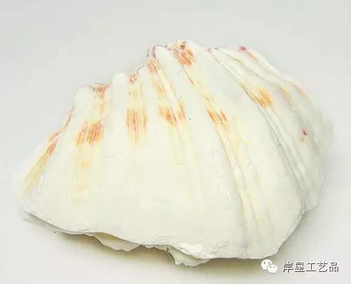 佛教圣物有哪些,佛教圣物大全视频