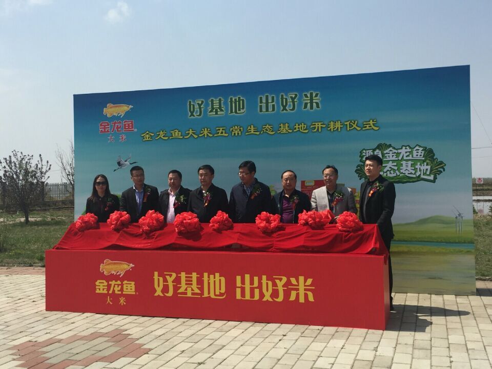 真正的五常大米是怎么样,真正的五常大米去哪里吃