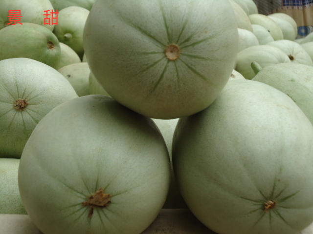 甜瓜产量前景,鼎牌玉奶香2号甜瓜品种详细介绍