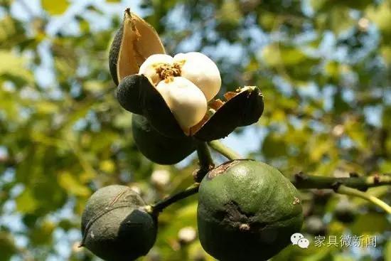 家具涂料的秘密：竟有这么多学问！