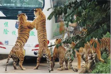 碧峰峡十月去耍怎么样,碧峰峡8月份雨季可以去耍吗
