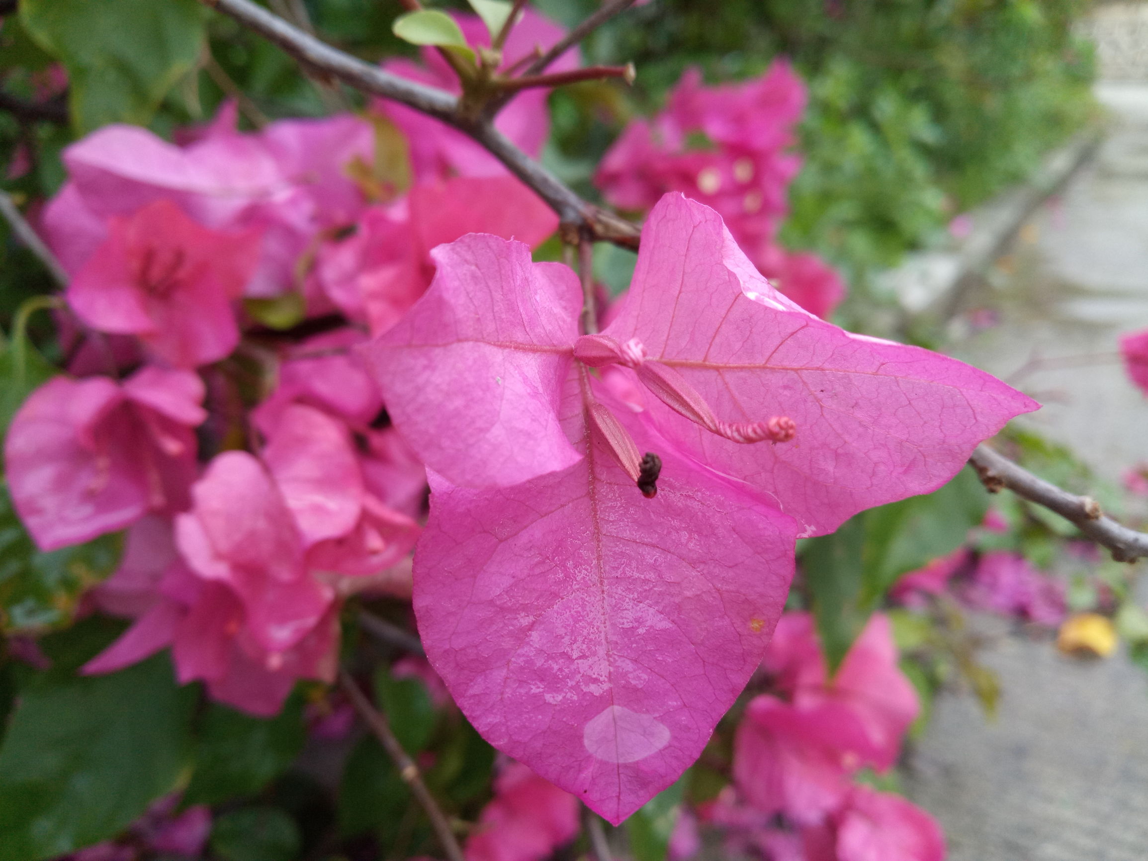 新360n4手机,360n4手机测试