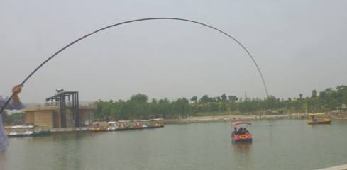 鱼竿都分哪几种鱼竿,鱼竿的种类图解大全集