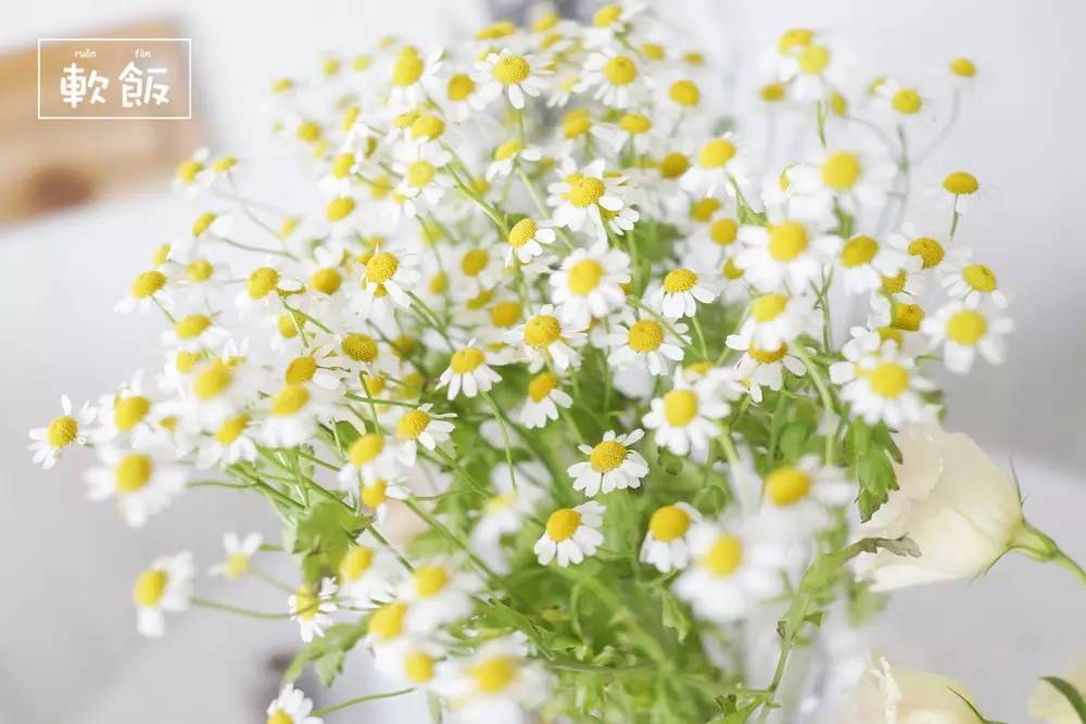 你一定会爱上的一家店,如果你有这样一间店铺你会喜欢吗