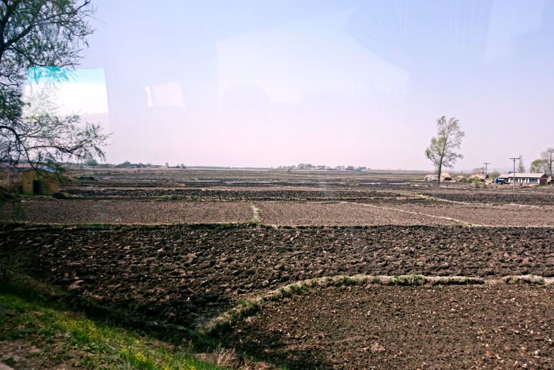 真正的五常大米是怎么样,真正的五常大米去哪里吃