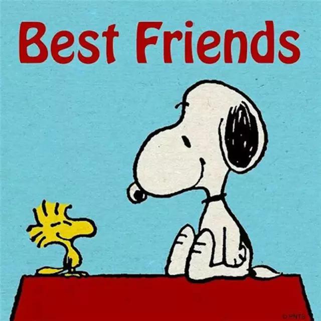 经典一语点醒梦中人,经典的一语双关