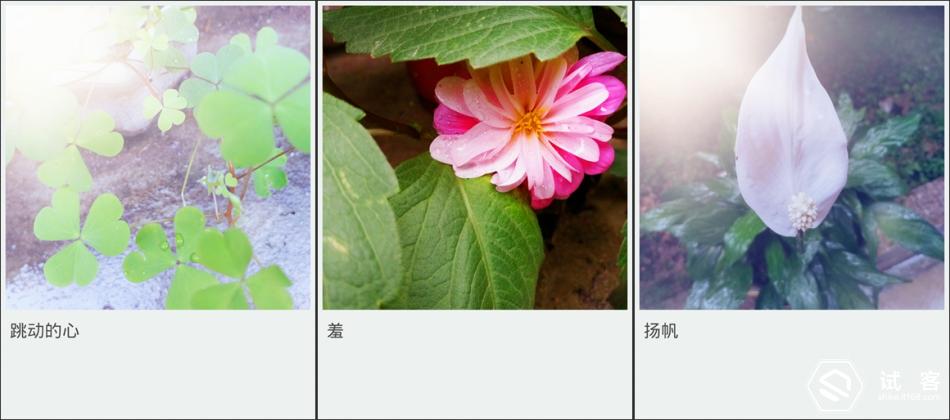 金立天鉴w909系统还可以再升级吗,金立天鉴w909手机充不了电怎么办