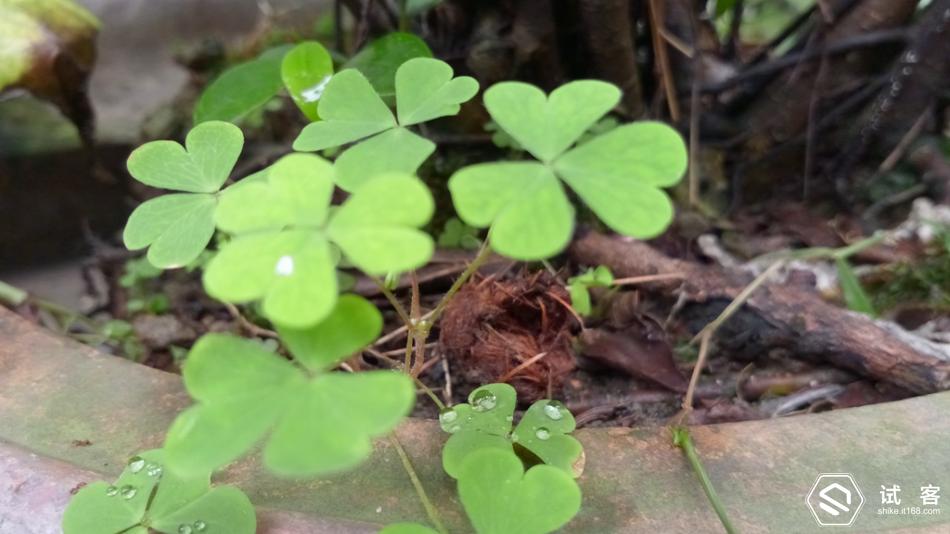 金立天鉴w909系统还可以再升级吗,金立天鉴w909手机充不了电怎么办