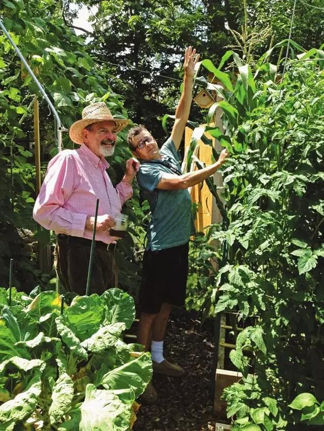 北美大叔玩起真实版开心农场，1平米菜园竟成国际潮流