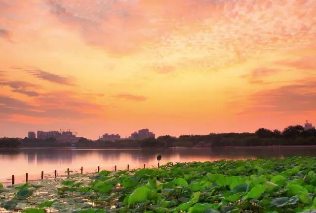 济南冬天景色最美的地方,济南的夏天最美的风景